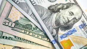 Precio del dólar 8 de febrero 2026 en México