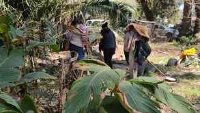 Activistas y colonos encontraron a 'Negrita' en el Bosque de Nativitas en Xochimilco