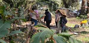 Activistas y colonos encontraron a 'Negrita' en el Bosque de Nativitas en Xochimilco