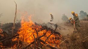 Incendio en Vicente Guerrero se sale de control, PC trabaja para sofocarlo.