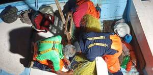 Pescaodres en un barco