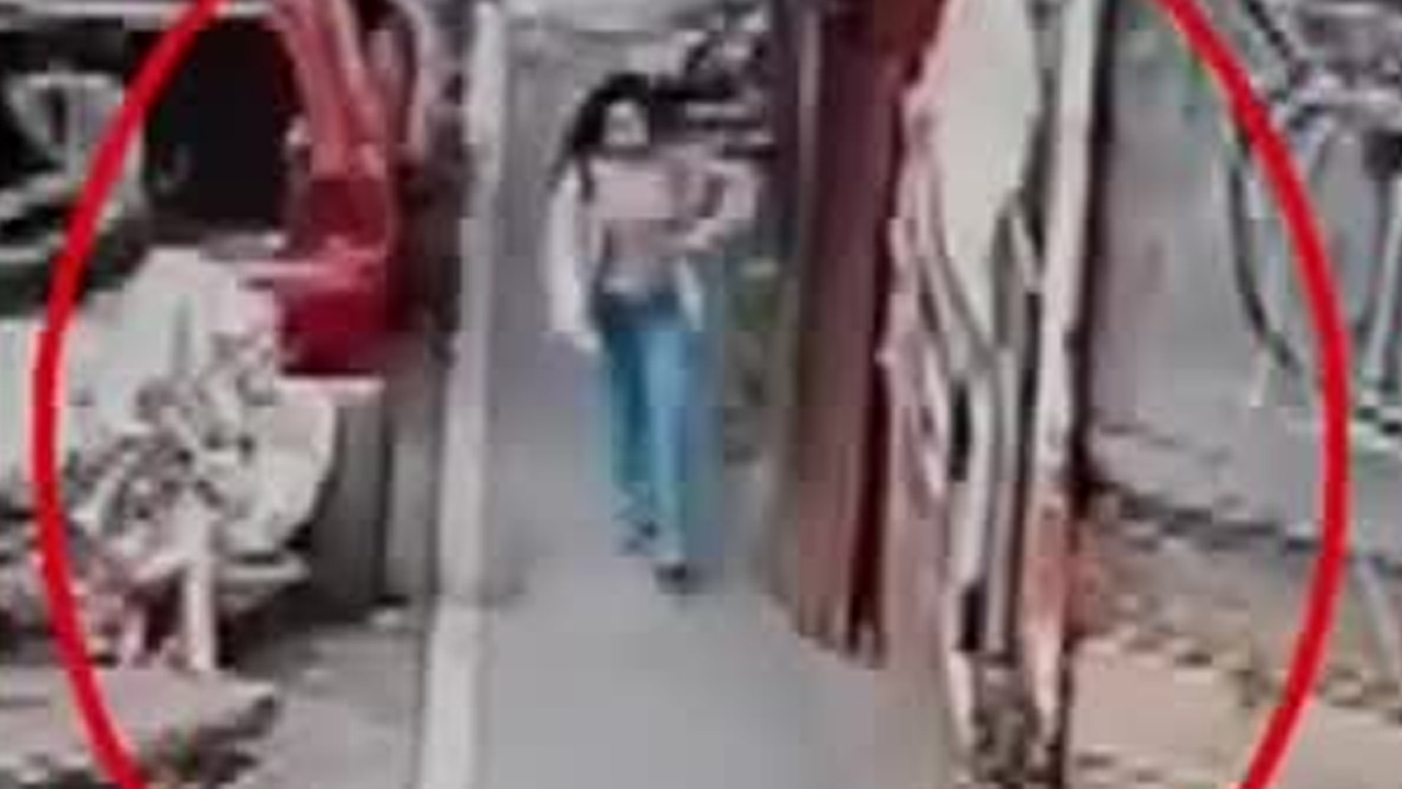 Programa conducido por Norma García, lunes 09 de febrero de 2026.