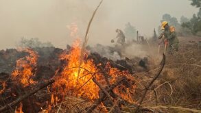 El incendio en Yahualutzingo ha consumido más de 100 hectáreas. Gobernador Armenta supervisa operativos y anuncia vivero forestal
