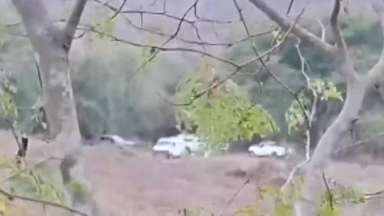 La Fiscalía de Sinaloa confirmó el hallazgo de cuatro fosas clandestinas en la comunidad de El Verde, en Concordia.