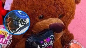 Oso de peluche robado en San Pedro