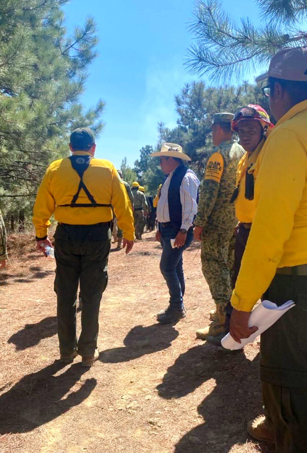 Conoce todo lo que ha pasado con el incendio forestal de municipio de Vicente Guerrero.