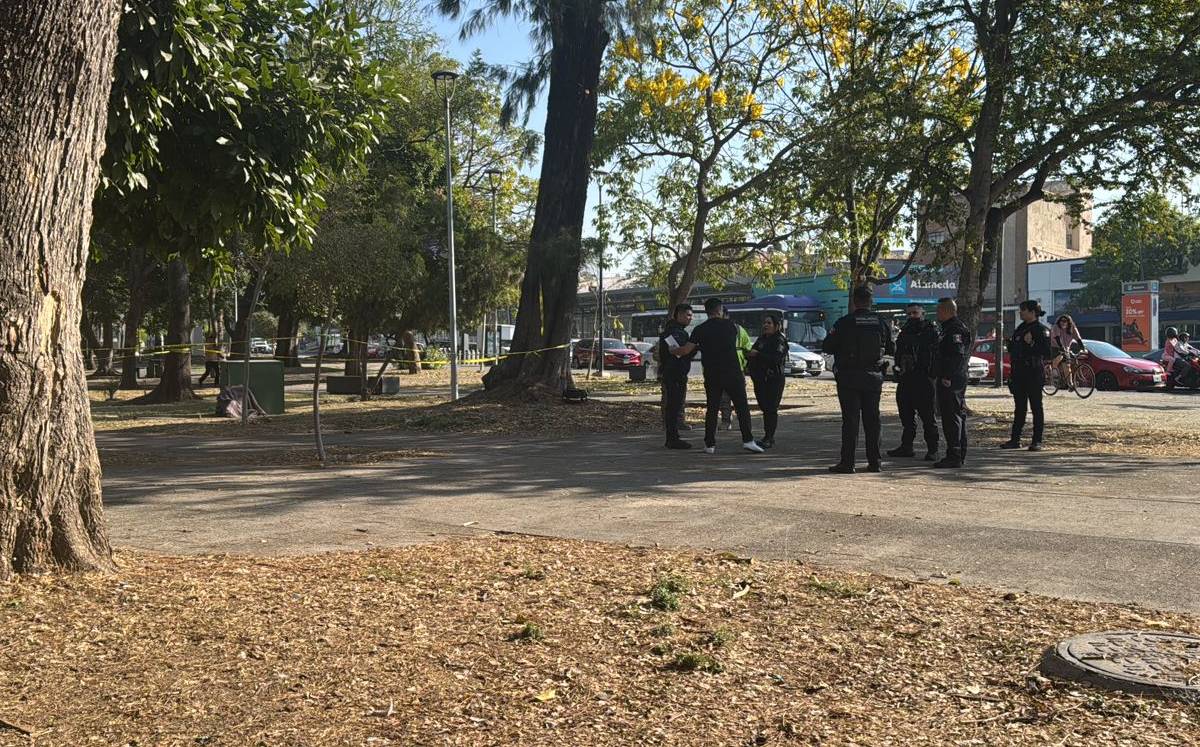 Personas caminando en Parque Morelos