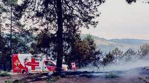 Conoce el avance en la liquidación del incendio forestal en Vicente Guerrero.