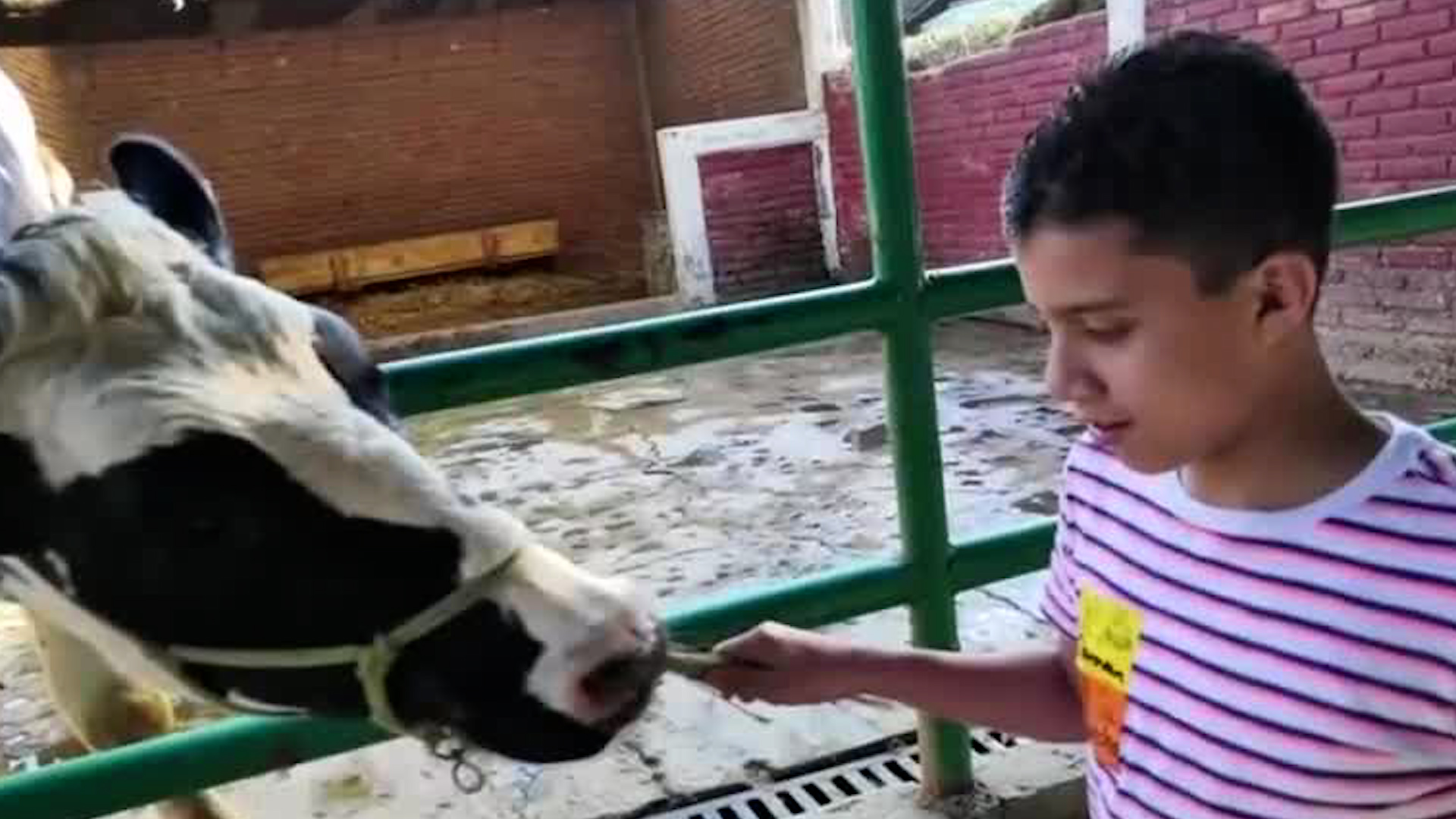 El joven de 18 años trabajaba como repartidor de aplicación cuando el accidente le arrebató la vida.