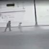 Cámaras de seguridad captando agresión a menor.