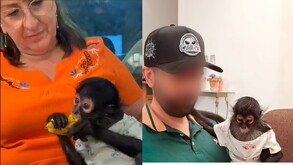 Regidora de Mc con el mono durante mediados de 2025 y uno de sus familiares también conviviendo con el animal.