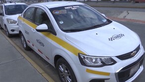 Se observan autos color blanco con letreros de taxi.