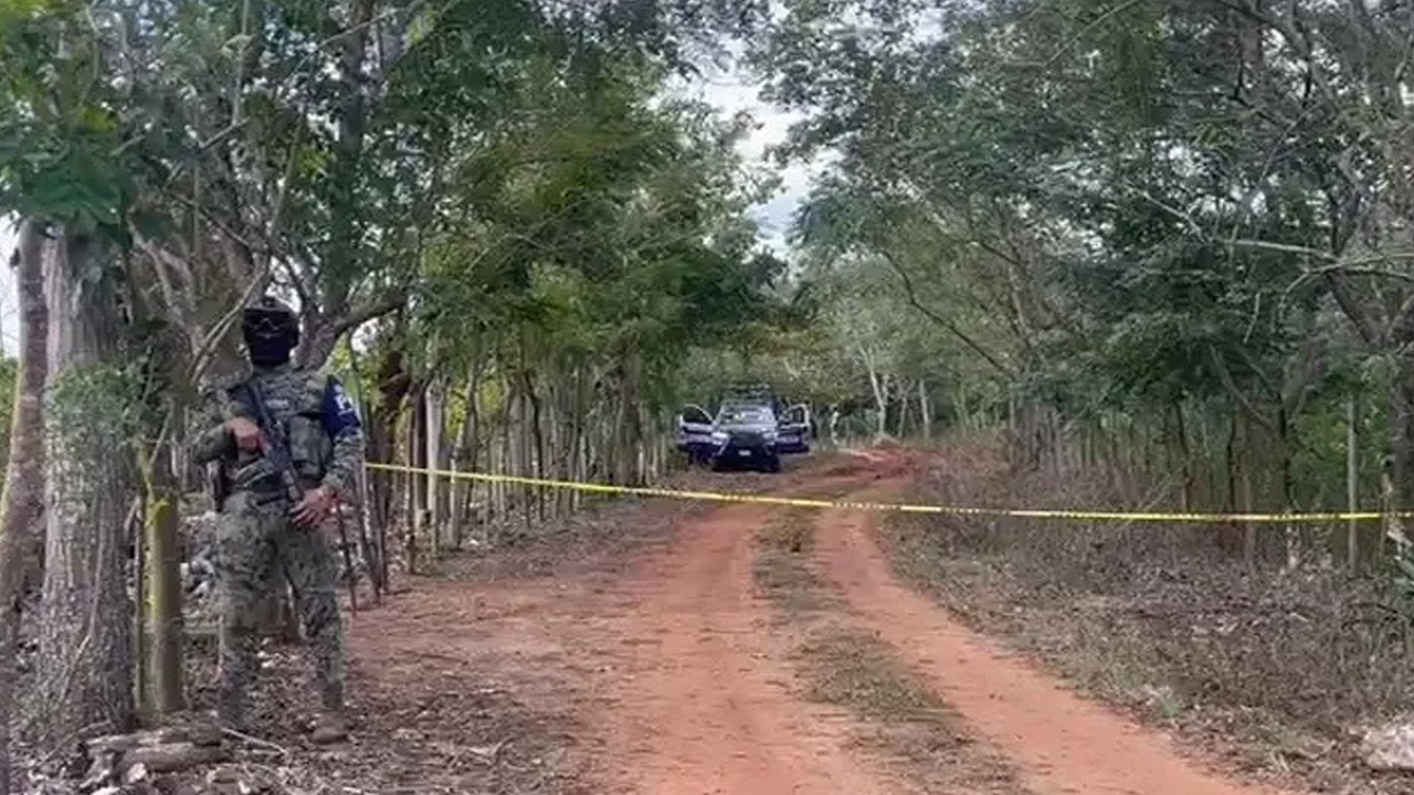 Colectivos de búsqueda esperan resultados de ADN de más de cinco cuerpos hallados en una fosa clandestina al sur de Veracruz.