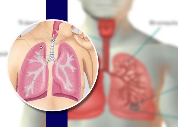 También suele ocurrir con los bebés o con niños pequeños, ya que con frecuencia se llevan a la boca todo objeto que encuentran a la mano.