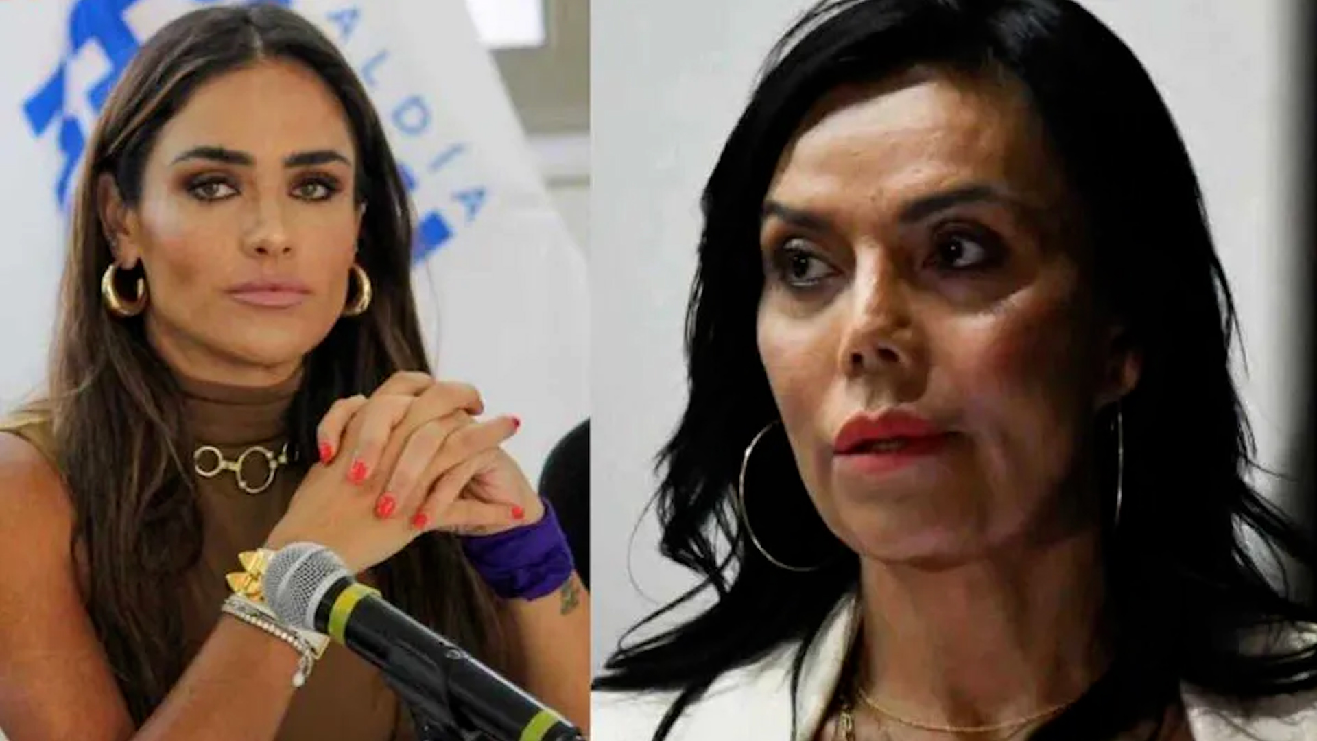 Tras la trifulca donde Alessandra Rojo de la Vega resultó lesionada, la Diputada de Morena niega estar involucrada en los hechos.