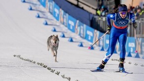 Perro lobo checoslovaco corriendo sobre una pista de nieve al lado de una esquiadora profesional en Juegos Olímpicos de Invierno 2026