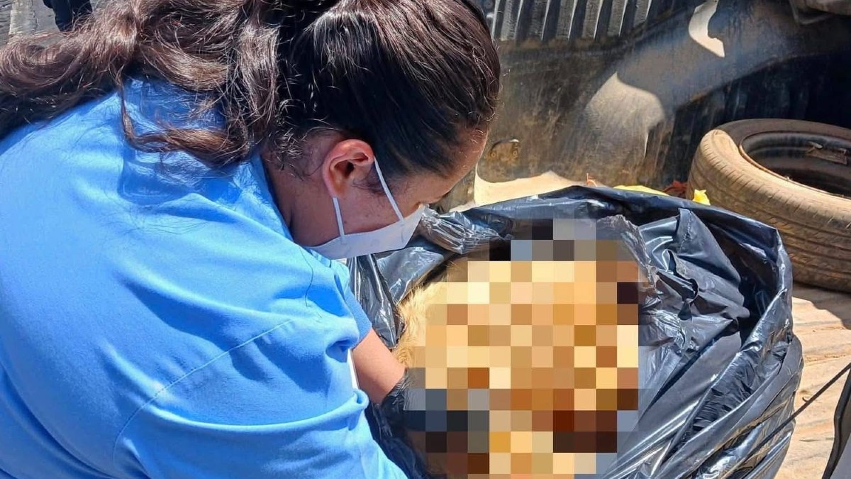 Personal de Protección Animal y Seguridad Pública acudió al fraccionamiento Country Club tras los reportes vecinales.