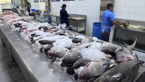 Venta de mariscos y pescado en Monterrey