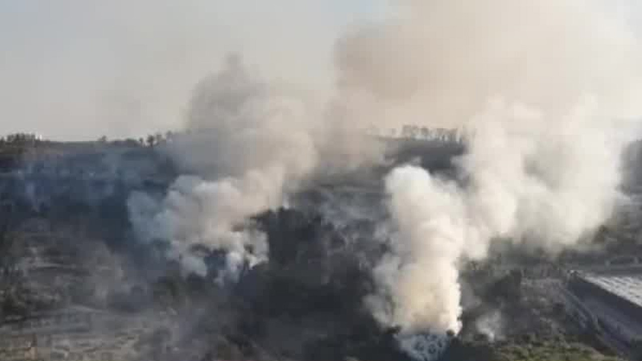 Un incendio de pastizales en Lomas de Atizapán, Estado de México, obligó al cierre de la avenida Adolfo Ruiz Cortines.