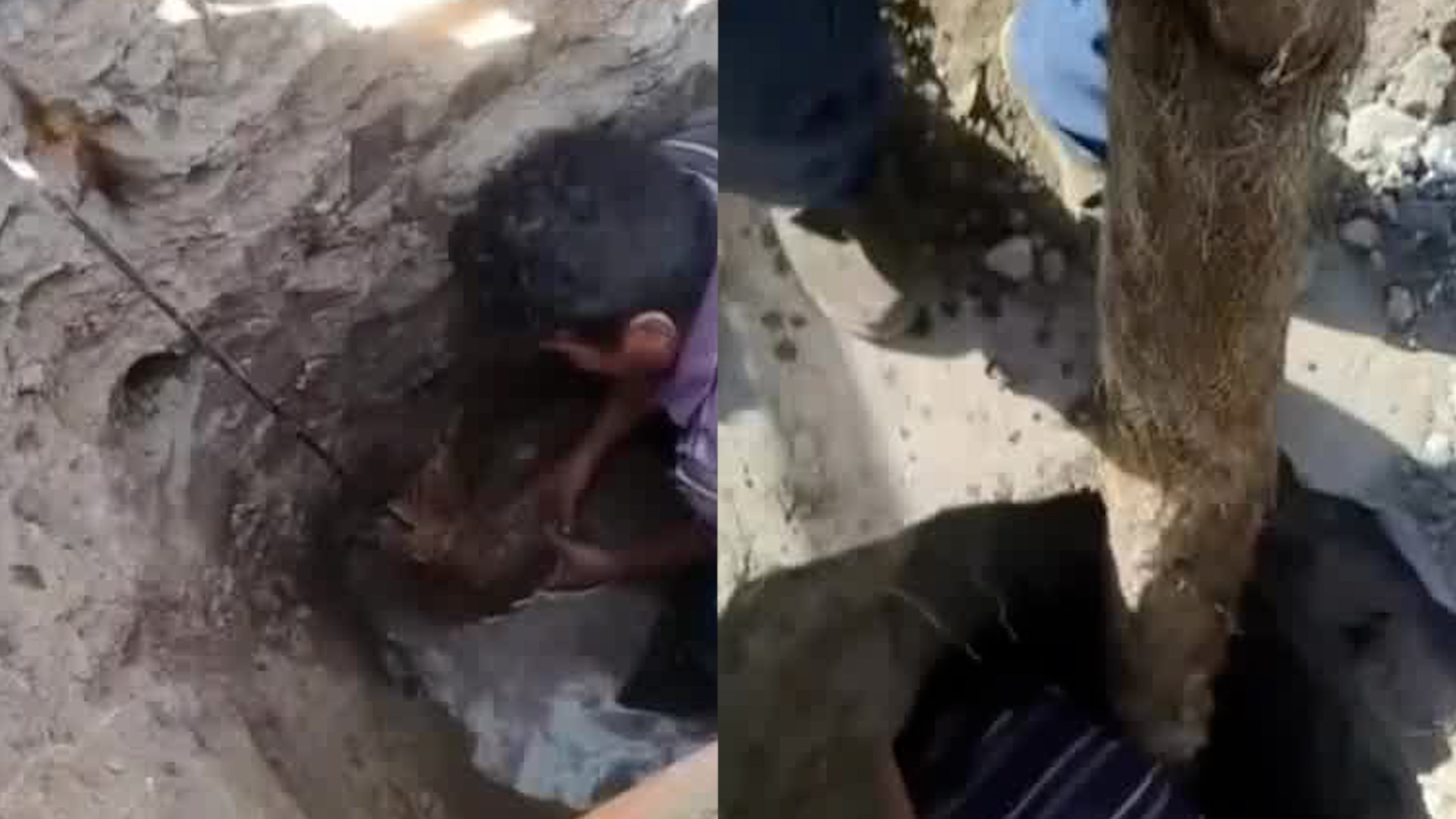 Un video difundido por parte de trabajadores del Sistema de Agua en Ecatepec mostró como este residuo natural llevaba 10 años afectando la circulación del líqui