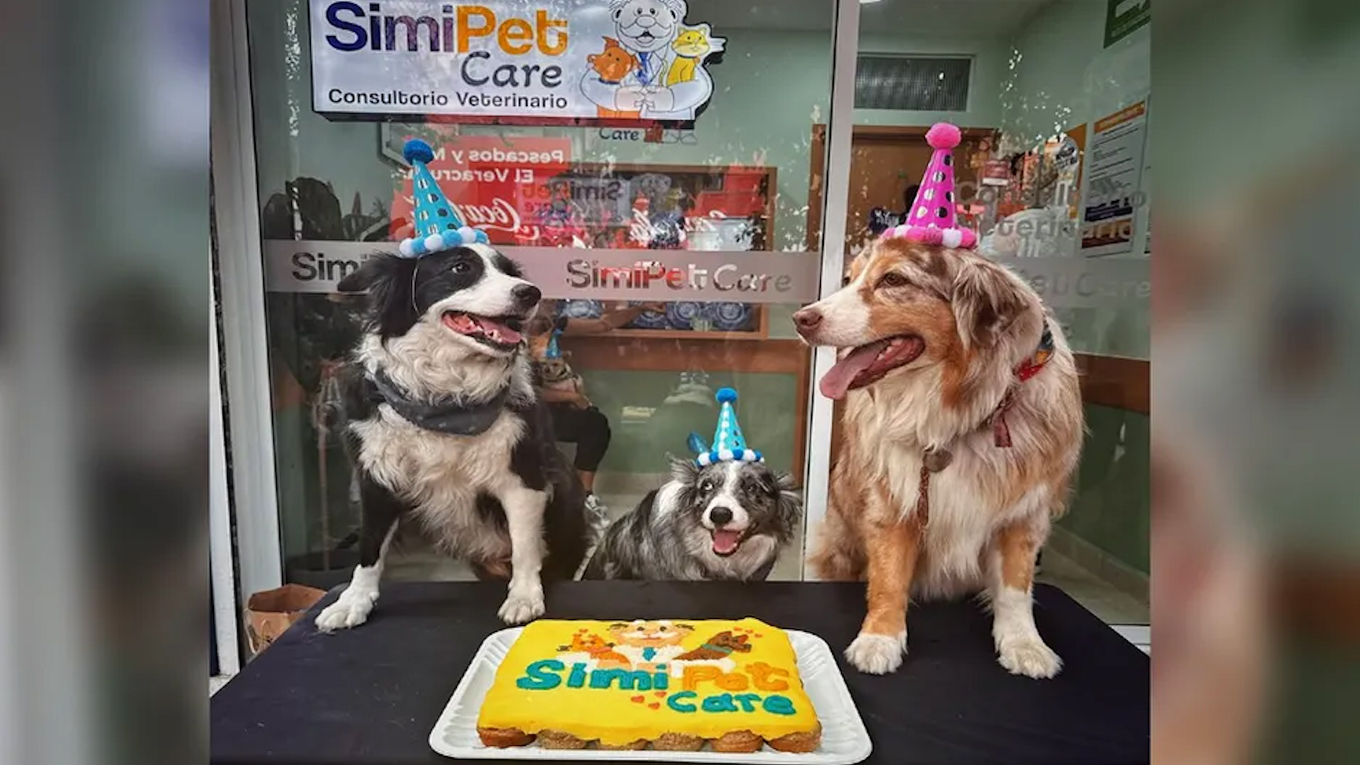 El Presidente Ejecutivo de Grupo 'Por un país mejor' busca crear un ambiente familiar.