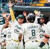 jugadores del equipo de beisbol pericos de puebla celebrando