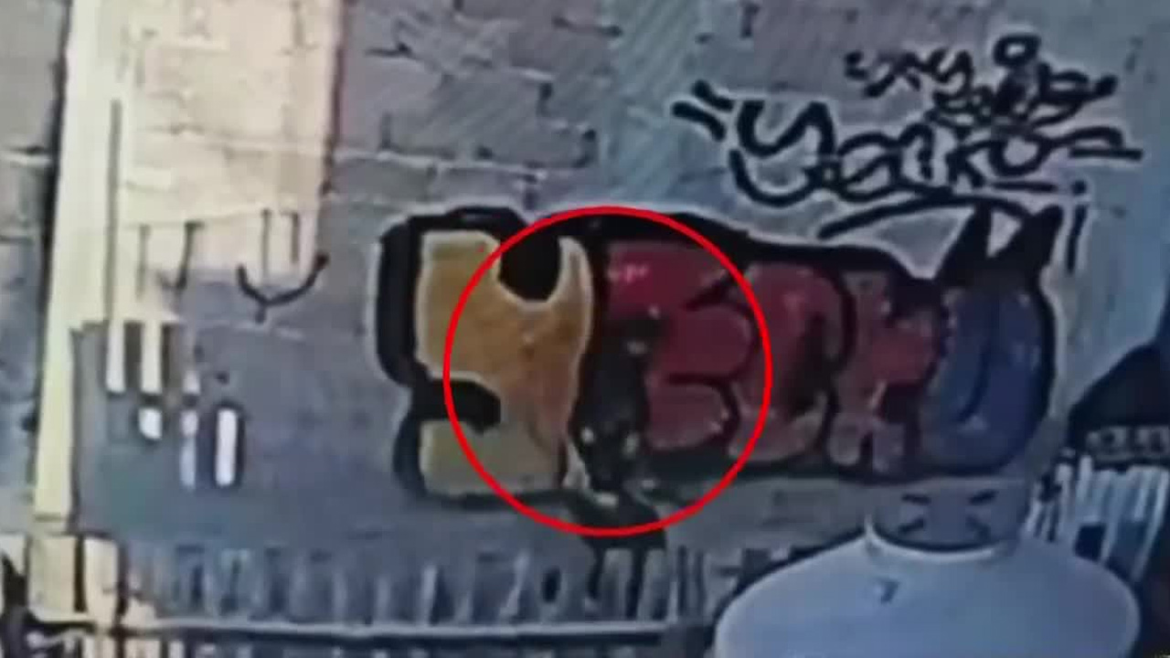 Programa conducido por Ana Laura Alanís, Liliana Sosa y Emmanuel Morales, viernes 20 de febrero de 2026.