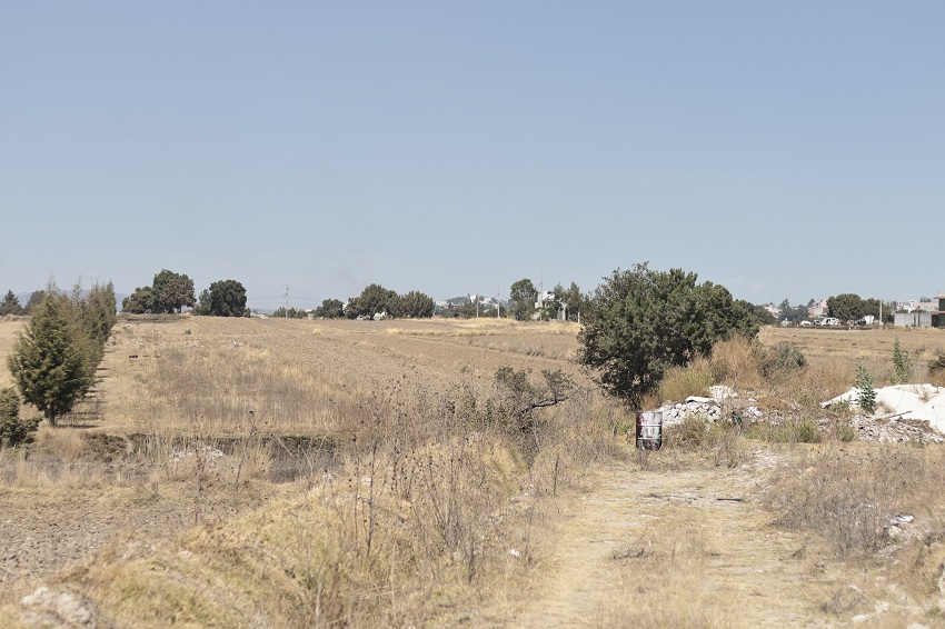 Camino de terracería muestra algunos árboles y un tambo.