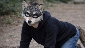 Médico traumatólogo advierte por posibles daños físicos en la tendencia Therian.