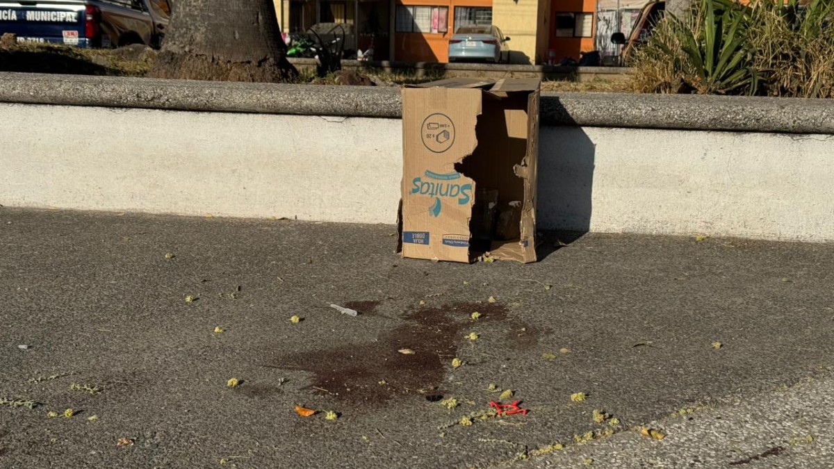 Mancha de sangre sobre el suelo de un parque con una caja de cartón con veladoras al lado de una jardinera