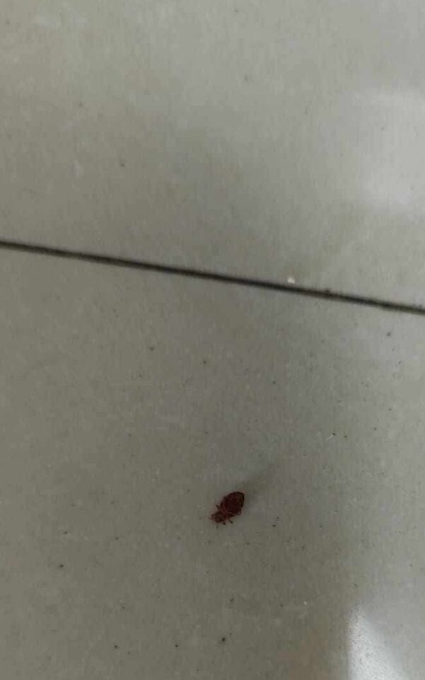 Los denunciantes solicitaron que se atienda el caso en la clínica 82 del IMSS y se realicen las medidas necesarias para evitar riesgos.