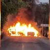 Vehículos envueltos en llamas bloqueando una carretera de Autlán de Navarro con árboles alrededor
