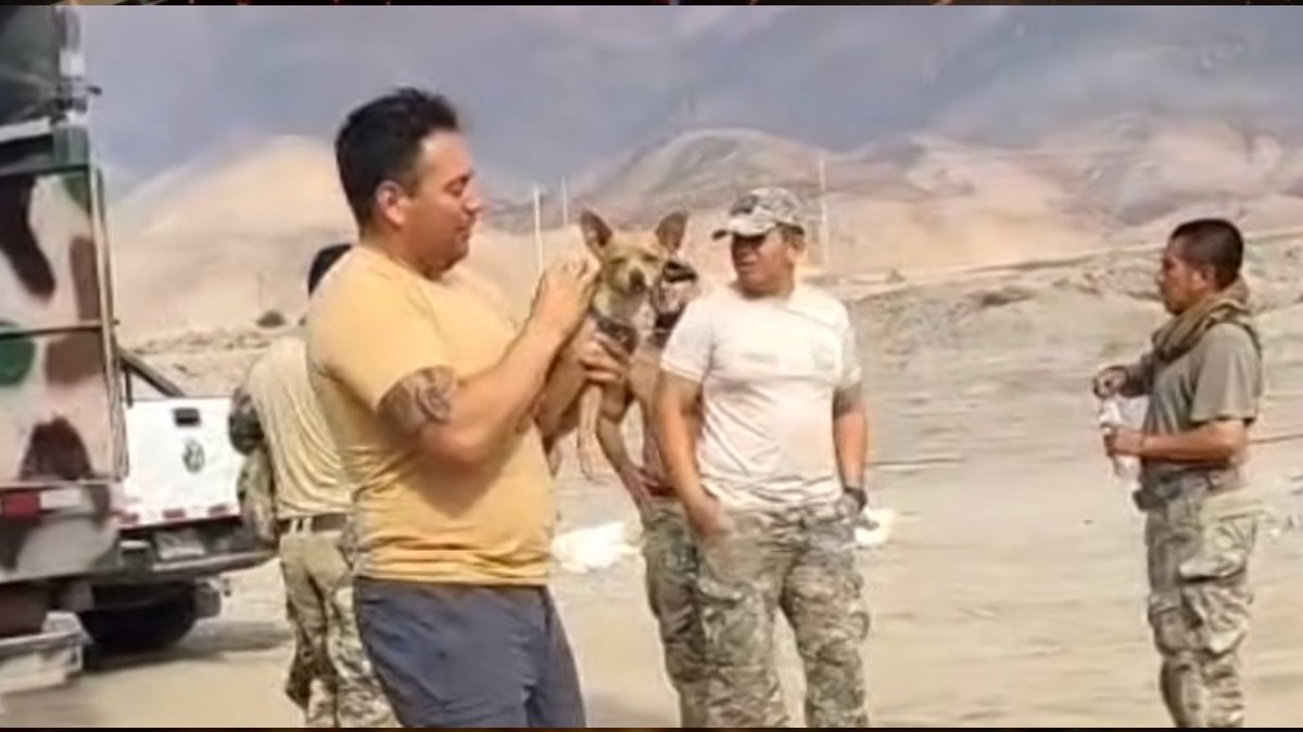 Hombre cargando un perrito raza Chihuahua