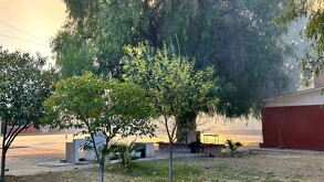 Se observa humo de un incendio, unos matorrales, árboles.