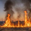 Se observa un terreno baldío con llamas de fuego.