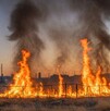 Se observa un terreno baldío con llamas de fuego.