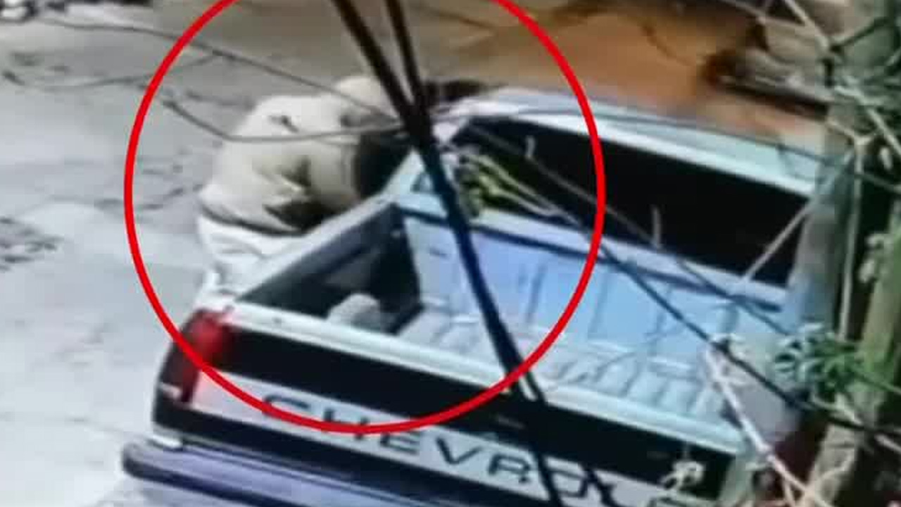 Una cámara de seguridad captó a dos sujetos robando una camioneta durante la madrugada en el pueblo de San Francisco Cuautliquixca, en Tecámac.