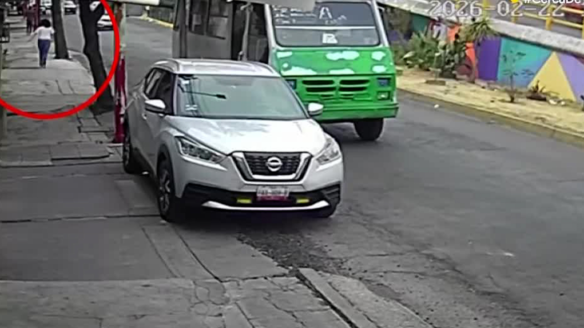 Una mujer bajo de un microbús para raptar a la mascota de una mujer en Valle de Aragón.