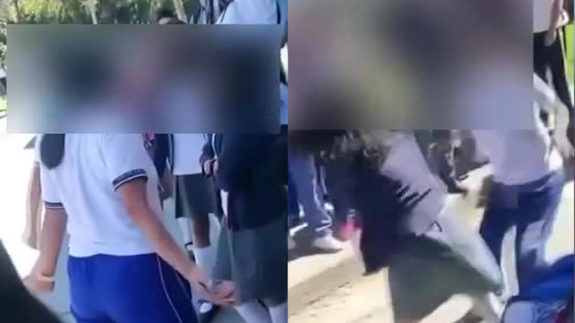 La pelea, captada en video, ocurrió a las afueras de la Telesecundaria Benito Juárez en Zacapoaxtla y tuvo que ser detenida por una maestra del plantel.
