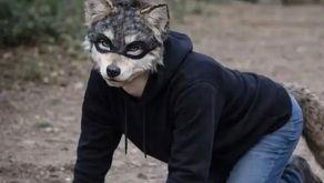 Hombros y rodillas en peligro: traumatólogos advierten de lesiones graves por la moda de los therian y la práctica de caminar como animales