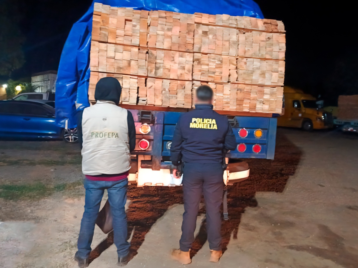 Carga de ladrillos en camión