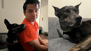 Erik mencionó que es difícil atraparlo, ya que no está acostumbrado a salir a la calle