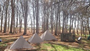 El Sabinal en Nuevo León