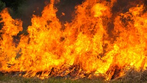 El coordinador Estatal de Protección Civil, informó que se registran, en promedio, 27 incendios de pastizal al día en la zona metropolitana.