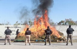 Más de 2 toneladas de marihuana fueron incineradas como parte del programa “Bodegas Vacías”.