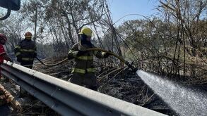 Movilziación de bomebros por incendio en río Santa Catarina