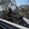 Movilziación de bomebros por incendio en río Santa Catarina