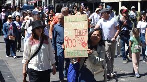 Los poblanos se oponen a que el cablebús ocasione la tala de 900 árboles de Parque Juárez.