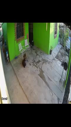 La gravedad de las lesiones sufridas en la cabeza obligó a los médicos a realizar una intervención quirúrgica de emergencia que se extendió por seis horas.