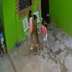 Video de cámara de menor atacada por perro.